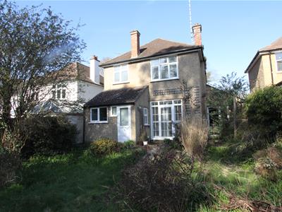 Picture 23